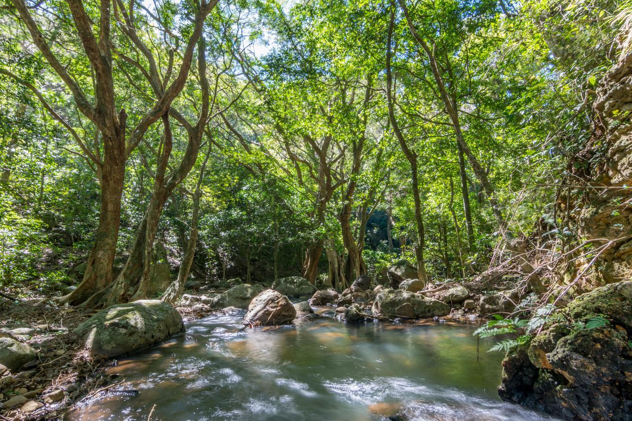 Rinconcito Lodge Hacienda Santa María Kültér fotó
